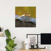Resting Ochre Brown Dragonfly Realistisch schilder Poster (Thuiskantoor)