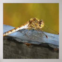 Resting Ochre Brown Dragonfly Realistisch schilder Poster