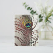 Resting Peacock Feather Briefkaart (Staand voorkant)