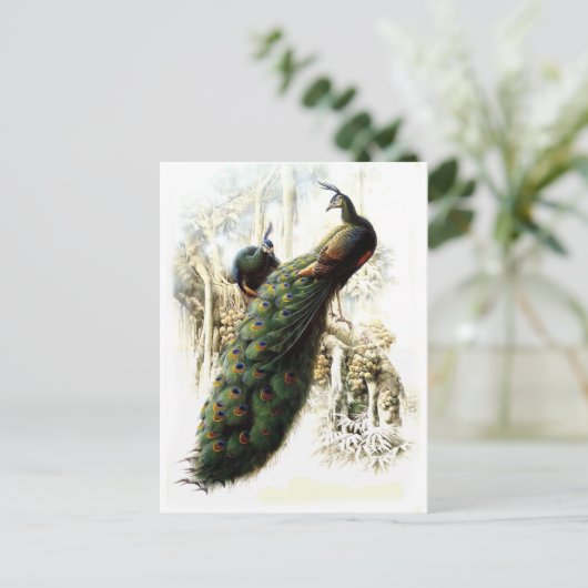 Resting Peacocks Briefkaart (Staand voorkant)