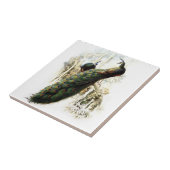 Resting Peacocks Tegeltje (Zijkant)