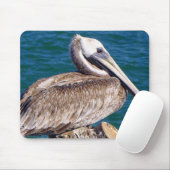Resting Pelican Muismat (Met muis)