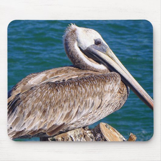 Resting Pelican Muismat (Voorkant)