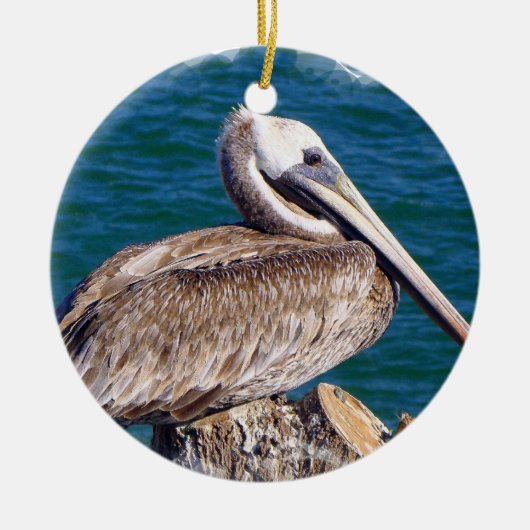 Resting Pelican Ornament (Voorkant)