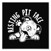 Resting Pit Face Funny Dog Pitbull Meme Cloding Foto Afdruk (Voorkant)