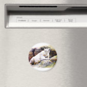 Resting Polar Beer Magnet (Insitu (Vaatwasser))