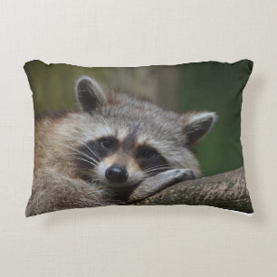 Resting Raccoon Accent Kussen