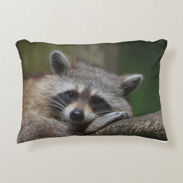 Resting Raccoon Accent Kussen (Voorkant)