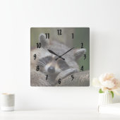 Resting Raccoon Vierkante Klok (Huis)