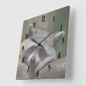 Resting Raccoon Vierkante Klok (Hoek)