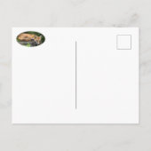 Resting Red Fox Briefkaart (Achterkant)