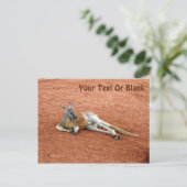 Resting Red Kangaroo Buck Briefkaart (Staand voorkant)