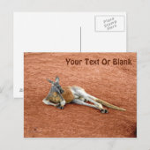 Resting Red Kangaroo Buck Briefkaart (Voorkant / Achterkant)