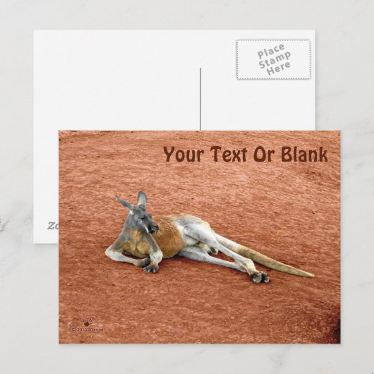 Resting Red Kangaroo Buck Briefkaart (Voorkant / Achterkant)