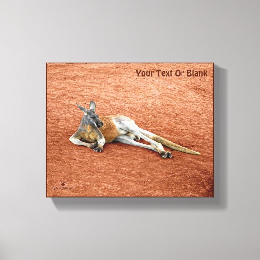 Resting Red Kangaroo Buck Canvas Afdruk (Voorkant)
