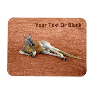 Resting Red Kangaroo Buck Magneet