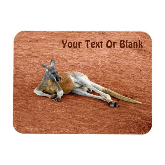 Resting Red Kangaroo Buck Magneet (Horizontaal)