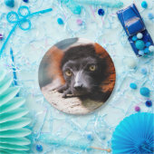 Resting Red Ruffed Lemur Papieren Bordje (Feest)