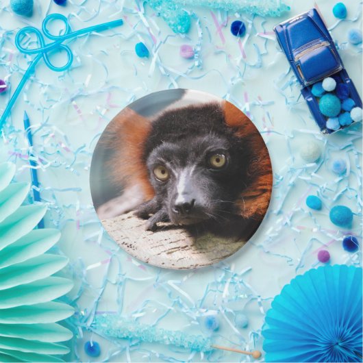 Resting Red Ruffed Lemur Papieren Bordje (Feest)