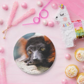 Resting Red Ruffed Lemur Papieren Bordje (Feest)