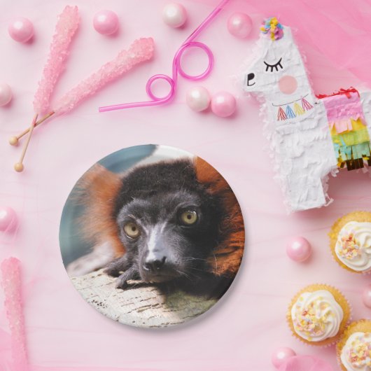 Resting Red Ruffed Lemur Papieren Bordje (Feest)