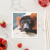 Resting Red Ruffed Lemur Servetten (Insitu)