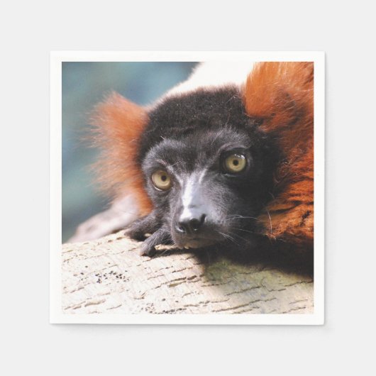 Resting Red Ruffed Lemur Servetten (Voorkant)