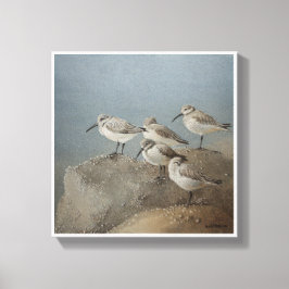 Resting Sanderlings #2 Schilderij van Ezartesa Canvas Afdruk