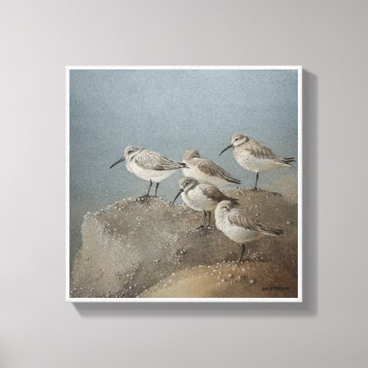 Resting Sanderlings #2 Schilderij van Ezartesa Canvas Afdruk (Voorkant)