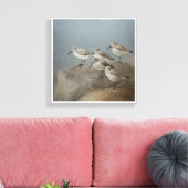 Resting Sanderlings #2 Schilderij van Ezartesa Canvas Afdruk (Insitu (Woonkamer))