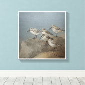 Resting Sanderlings #2 Schilderij van Ezartesa Canvas Afdruk (Insitu (Houten vloer))