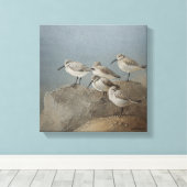 Resting Sanderlings #2 Schilderij van Ezartesa Canvas Afdruk (Insitu (Houten vloer))