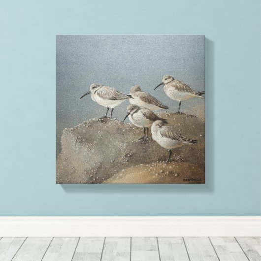 Resting Sanderlings #2 Schilderij van Ezartesa Canvas Afdruk (Insitu (Houten vloer))
