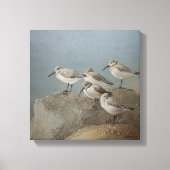 Resting Sanderlings #2 Schilderij van Ezartesa Canvas Afdruk (Voorkant)