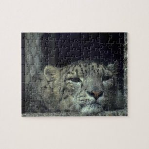 Resting Snow Leopard Legpuzzel