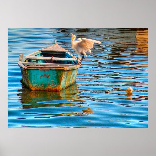 Resting Spot Poster (Voorkant)