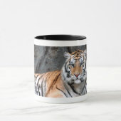 Resting Tiger Mok (Midden)