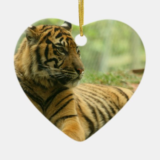 Resting Tiger Ornament (Voorkant)