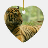 Resting Tiger Ornament (Achterkant)