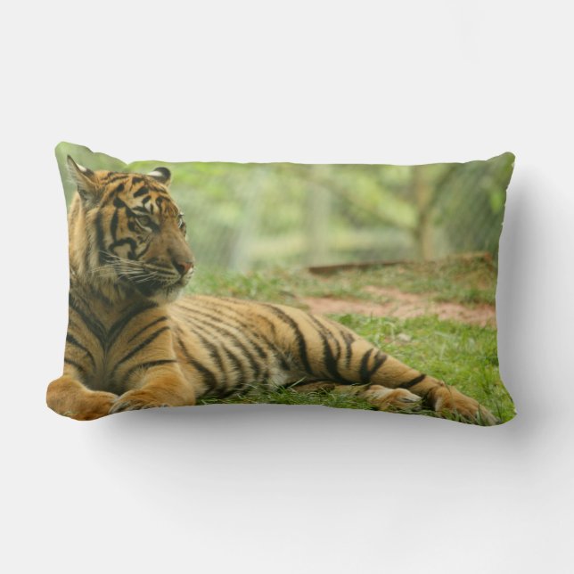 Resting Tiger Pillow Kussen (Voorkant)