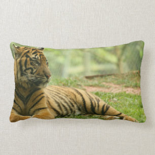 Resting Tiger Pillow Kussen