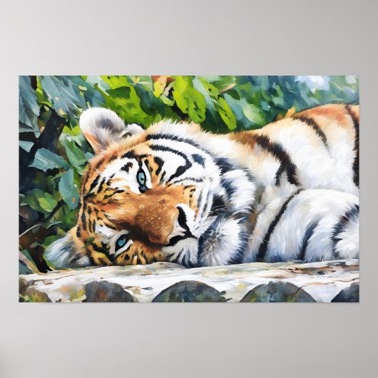 Resting Tiger Portrait Poster (Voorkant)