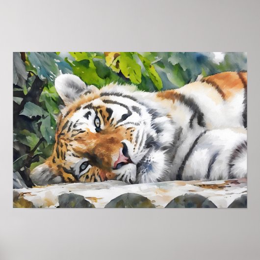 Resting Tiger Portrait Poster (Voorkant)