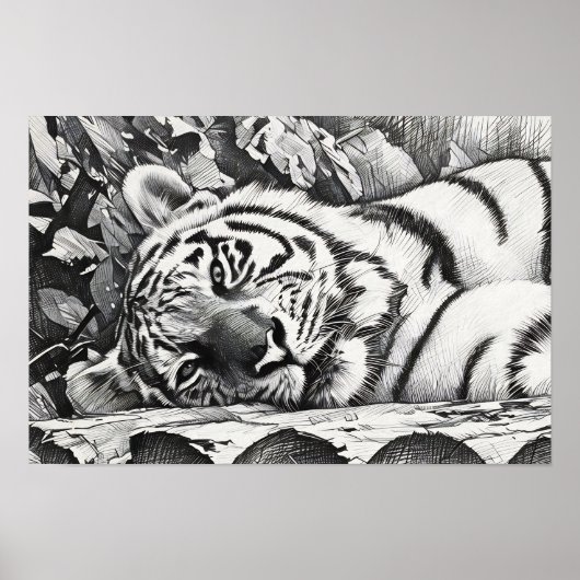 Resting Tiger Portrait Poster (Voorkant)