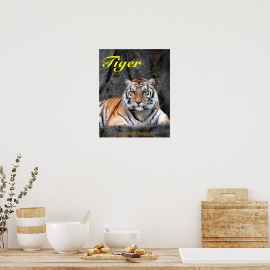 Resting Tiger Poster (Keuken)