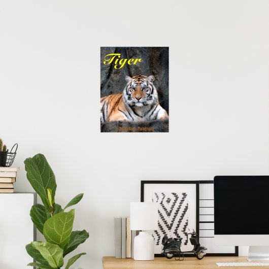 Resting Tiger Poster (Thuiskantoor)