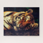 Resting Tiger Puzzle Legpuzzel (Horizontaal)