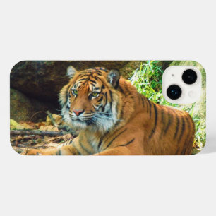 Resting Tiger Telefoonhoesje