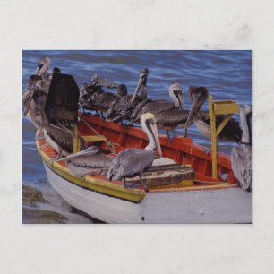 Resting time, Venezuela Briefkaart