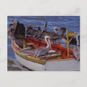 Resting time, Venezuela Briefkaart (Voorkant)